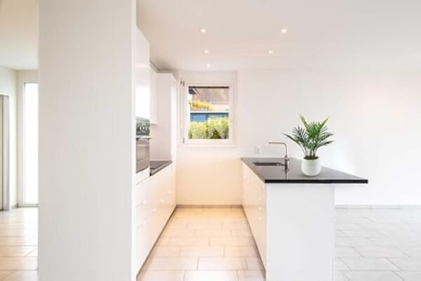 Fake Plants, Artificial Plants Indoor for Room Decor, Small Faux Plants Indoor, Desk Plant for Office, Artificial Palm Plants, Artificial Plant & Flowers, Fake Potted Plants Decor, Small Plant