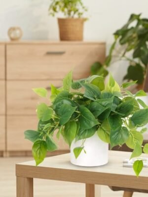 Faux Plants Indoor with Ceramic Pots, Artificial Small Fake Plants with Pothos for Home Decor Fake Potted Plant for Living Room Shelf Home Office Decor（White Ceramic Pot）