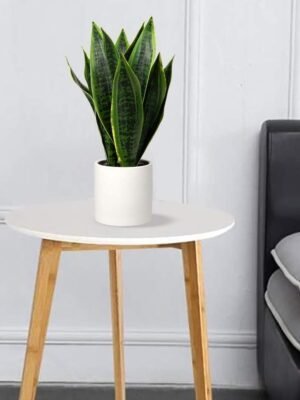 Fake Snake Plant 16" Faux Potted Plant Artificial Snake Plant with White Ceramic Pot Sansevieria Plant Perfect for House Modern Living Room Office Housewarming Gift Indoor Decor