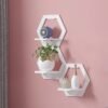 Wall-Mounted Decorative Hexagon Storage Rack PVC Floating Shelves Flower-Shaped Home Storage for Room Decor
