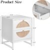Rattan Nightstand, End Side Table with 2 Rattan Drawers, Wood Square Bedside Table with Storage, Accent Sofa Table for Home Office Living Room Bedroom, White