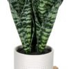 Fake Snake Plant 16" Faux Potted Plant Artificial Snake Plant with White Ceramic Pot Sansevieria Plant Perfect for House Modern Living Room Office Housewarming Gift Indoor Decor