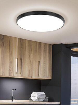 24W Led Ceiling Light, 12 Inch Flush Mount Ceiling Light, 6500K Super Bright Light Fixture with 3000 Lumens for Bedroom, Living Room, Hallway, Dining Room, Study Room(White)