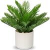 Faux Plant Indoor in Ceramic Pot 13" Artificial Potted Fern Fake House Plants for Desk Office Bathroom Garden Decoration
