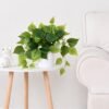 Faux Plants Indoor with Plastic Pots, Realistic Small Fake Plants, Fake Plants with Pothos, Fake Potted Plants, Artificial Plant for Home Shelf Bathroom Kitchen Office Indoor Outdoor Decor