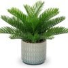 Faux Plant Indoor in Ceramic Pot 13" Artificial Potted Fern Fake House Plants for Desk Office Bathroom Garden Decoration