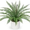 Faux Plant Indoor in Ceramic Pot 13" Artificial Potted Fern Fake House Plants for Desk Office Bathroom Garden Decoration
