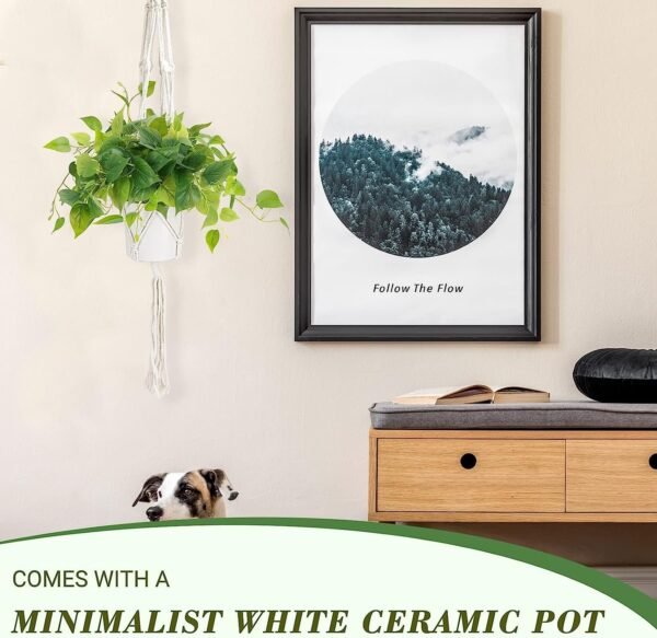 Faux Plants Indoor with Ceramic Pots, Artificial Small Fake Plants with Pothos for Home Decor Fake Potted Plant for Living Room Shelf Home Office Decor（White Ceramic Pot）