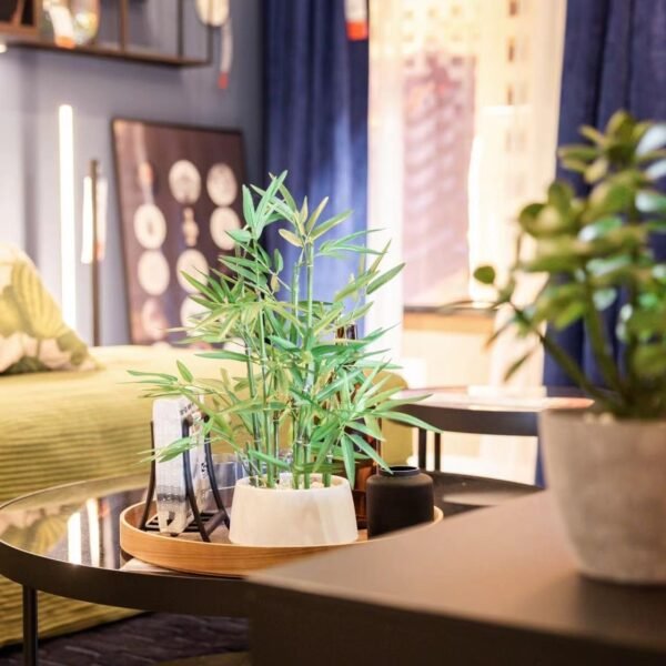 71eznv2IUGL._AC_SL1280.jpg 18 inch Tall White Potted Faux Bamboo Plant- Luxury Artificial Bamboo Tree in White Pot for Home, Office, Kitchen, Counter Top, Indoor Decor, Money Tree, Lucky Bamboo Tree.