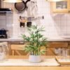 71fkbULubpL._AC_SL1280-e1716264743260.jpg 18 inch Tall White Potted Faux Bamboo Plant- Luxury Artificial Bamboo Tree in White Pot for Home, Office, Kitchen, Counter Top, Indoor Decor, Money Tree, Lucky Bamboo Tree.