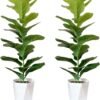 Set of 2 Artificial Monstera Deliciosa Plants in Pots, Fake Tropical Palm Tree with Greenery Leaves Stems, 28 Inch Artificial Cheese Plant for Home Bathroom, Office, Windowsill Decor