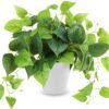 Faux Pothos, 2 Pack Artificial Plants with Plastic Pot, Artificial Potted Plants for Home Office Bedroom Indoor Outdoor Decor (Blcak)