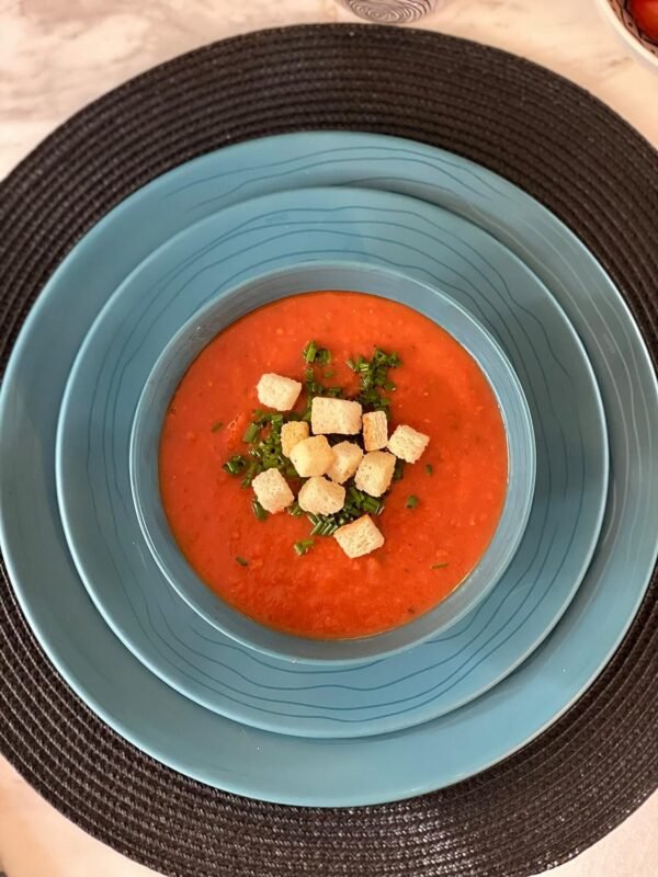 12 Piece Melamine Dinnerware Set - Durable, Dishwasher Safe Plates and Bowls - Casual Dining, Parties, Blue Dish Set Organica Blue Collection