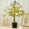 81J8ydQ8qWL._AC_SL1500.jpg 24 Inch Artificial Olive Tree Tall Faux Silk Olive Trees with LED String Lights Fake Potted Artificial Plants Indoor Outdoor for Home Office Table Decor