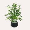 81UeGCkcp5L._AC_SL1500.jpg 18 inch Tall White Potted Faux Bamboo Plant- Luxury Artificial Bamboo Tree in White Pot for Home, Office, Kitchen, Counter Top, Indoor Decor, Money Tree, Lucky Bamboo Tree.