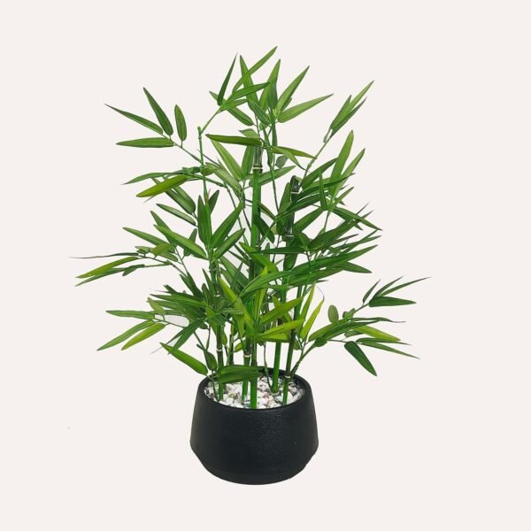 81UeGCkcp5L._AC_SL1500.jpg 18 inch Tall White Potted Faux Bamboo Plant- Luxury Artificial Bamboo Tree in White Pot for Home, Office, Kitchen, Counter Top, Indoor Decor, Money Tree, Lucky Bamboo Tree.