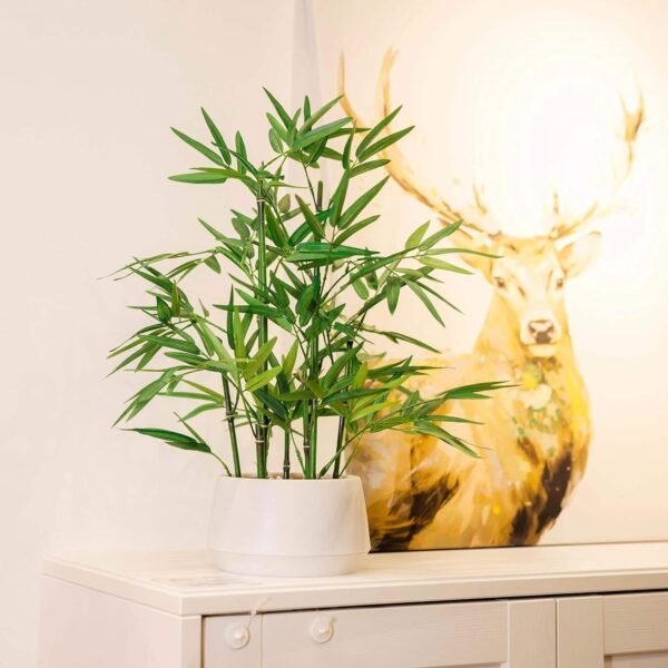 81ZQ7iHytyL._AC_SL1500.jpg 18 inch Tall White Potted Faux Bamboo Plant- Luxury Artificial Bamboo Tree in White Pot for Home, Office, Kitchen, Counter Top, Indoor Decor, Money Tree, Lucky Bamboo Tree.