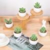 6 Packs Fake Plants Small Realistic Succulents Plants Artificial for Home Room Decor Indoor