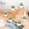 6 Packs Fake Plants Small Realistic Succulents Plants Artificial for Home Room Decor Indoor