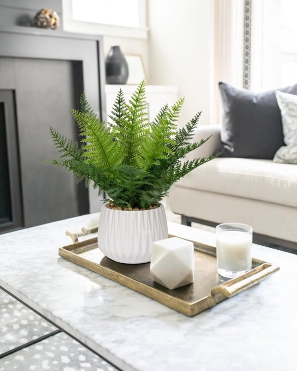 Faux Plant Indoor in Ceramic Pot 13" Artificial Potted Fern Fake House Plants for Desk Office Bathroom Garden Decoration