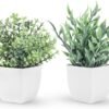 2 Packs Fake Plants Mini Artificial Greenery Potted Plants for Home Decor Indoor Office Table Room Farmhouse