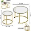 Gold Nesting Coffee Table Set of 2, Small Glass Round Nesting Tables for Living Room Bedroom, Accent Tea Table with Metal Frame