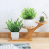 2 Packs Fake Plants Mini Artificial Greenery Potted Plants for Home Decor Indoor Office Table Room Farmhouse